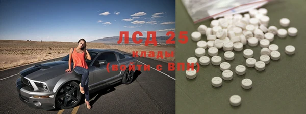 PSILOCYBIN Лихославль