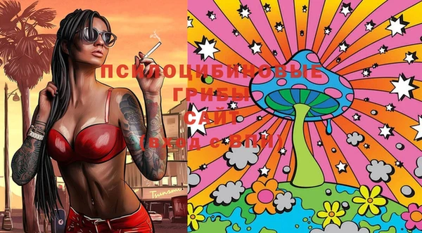PSILOCYBIN Лихославль